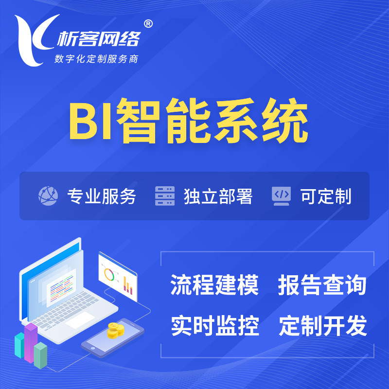 唐山BI智能系统 | BI数据可视化